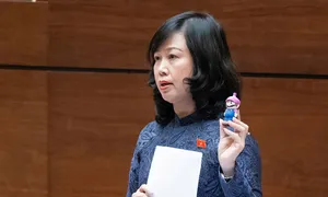 Bộ trưởng Đào Hồng Lan: Phải cấm thuốc lá điện tử Bộ trưởng Đào Hồng Lan: Phải cấm thuốc lá điện tử