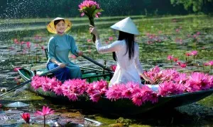 Cảnh sắc Tam Cốc mùa hoa súng nở Cảnh sắc Tam Cốc mùa hoa súng nở