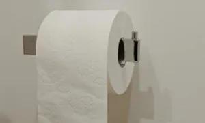 Vì sao không nên ngồi bồn cầu quá 10 phút? Vì sao không nên ngồi bồn cầu quá 10 phút?