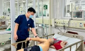 Mất nửa lượng máu cơ thể do sốt xuất huyết Mất nửa lượng máu cơ thể do sốt xuất huyết