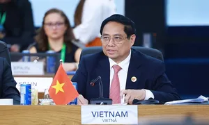 Việt Nam phấn đấu thực hiện mục tiêu phát thải ròng bằng 0 trước 2050 Việt Nam phấn đấu thực hiện mục tiêu phát thải ròng bằng 0 trước 2050
