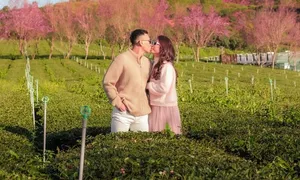 Đà Lạt trong top điểm du lịch giá rẻ nhất châu Á Đà Lạt trong top điểm du lịch giá rẻ nhất châu Á