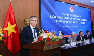 VFF lãi hai tỷ đồng năm 2024 VFF lãi hai tỷ đồng năm 2024