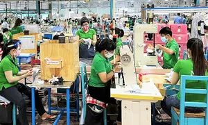 Công ty đông lao động nhất Đồng Nai chi 650 tỷ đồng thưởng Tết Công ty đông lao động nhất Đồng Nai chi 650 tỷ đồng thưởng Tết