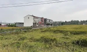 Bên trong ngành 'công nghiệp' mang thai hộ của Trung Quốc Bên trong ngành 'công nghiệp' mang thai hộ của Trung Quốc
