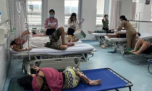 Thịt, pate nhiễm khuẩn Salmonella khiến hơn 300 người ăn bánh mì bị ngộ độc Thịt, pate nhiễm khuẩn Salmonella khiến hơn 300 người ăn bánh mì bị ngộ độc