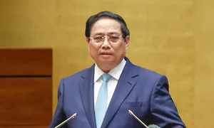 Thủ tướng: 'Năm 2025 phấn đấu tăng trưởng GDP đạt 8%' Thủ tướng: 'Năm 2025 phấn đấu tăng trưởng GDP đạt 8%'
