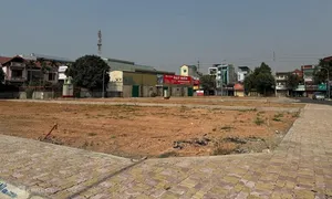 Đất đấu giá huyện Thạch Thất trúng cao nhất 185 triệu một m2 Đất đấu giá huyện Thạch Thất trúng cao nhất 185 triệu một m2