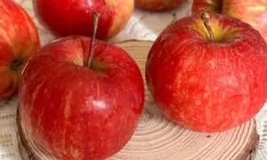 Ăn táo giúp tăng sinh lý nữ thế nào? Ăn táo giúp tăng sinh lý nữ thế nào?