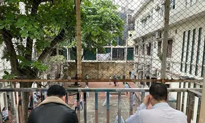 Gánh nặng chăm bạn đời mắc bệnh tâm thần Gánh nặng chăm bạn đời mắc bệnh tâm thần