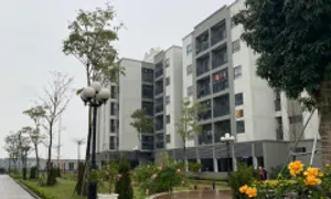 'Dọn đường' để thuê nhà ở là bình thường 'Dọn đường' để thuê nhà ở là bình thường