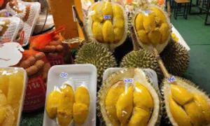 Ăn quả bơ, sầu riêng tăng hiệu quả thụ tinh ống nghiệm Ăn quả bơ, sầu riêng tăng hiệu quả thụ tinh ống nghiệm