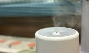 Mẹo giảm nguy cơ mắc bệnh mũi họng mùa lạnh Mẹo giảm nguy cơ mắc bệnh mũi họng mùa lạnh