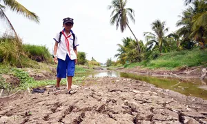 ĐBSCL thuộc 5 đồng bằng 'dễ bị tổn thương nhất thế giới' ĐBSCL thuộc 5 đồng bằng 'dễ bị tổn thương nhất thế giới'