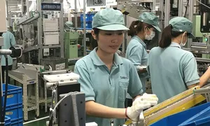 Chật vật tìm lao động xuất khẩu sang Nhật Chật vật tìm lao động xuất khẩu sang Nhật