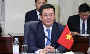 Đề nghị Nhật Bản hỗ trợ xây dựng nhà máy điện hạt nhân Ninh Thuận Đề nghị Nhật Bản hỗ trợ xây dựng nhà máy điện hạt nhân Ninh Thuận