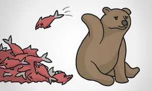 Tại sao gấu bỏ phí cá hồi? Tại sao gấu bỏ phí cá hồi?