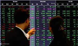 Vì sao VN-Index năm 2024 tăng 12%, nhà đầu tư vẫn khó lãi? Vì sao VN-Index năm 2024 tăng 12%, nhà đầu tư vẫn khó lãi?
