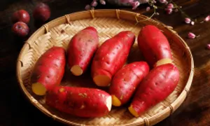 5 loại củ phòng ung thư nên ăn thường xuyên 5 loại củ phòng ung thư nên ăn thường xuyên