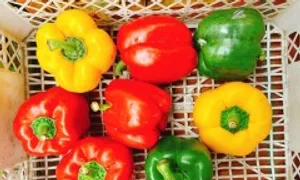 5 thực phẩm giúp trẻ tăng đề kháng, phòng bệnh 5 thực phẩm giúp trẻ tăng đề kháng, phòng bệnh