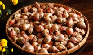 Mẹo bóc vỏ hành củ không bị cay mắt Mẹo bóc vỏ hành củ không bị cay mắt