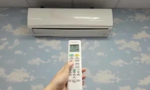Điều gì khiến ngôi nhà trở thành 'ổ vi khuẩn'? Điều gì khiến ngôi nhà trở thành 'ổ vi khuẩn'?