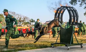 Chín tháng khổ luyện của quân khuyển biên phòng Chín tháng khổ luyện của quân khuyển biên phòng