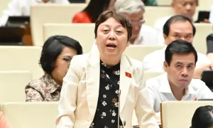 ‘Thanh tra đến đâu, hàng giả giấu đến đó’ ‘Thanh tra đến đâu, hàng giả giấu đến đó’